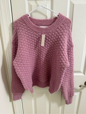 NWT Lush Dusty Rose Textured Crewneck Sweater